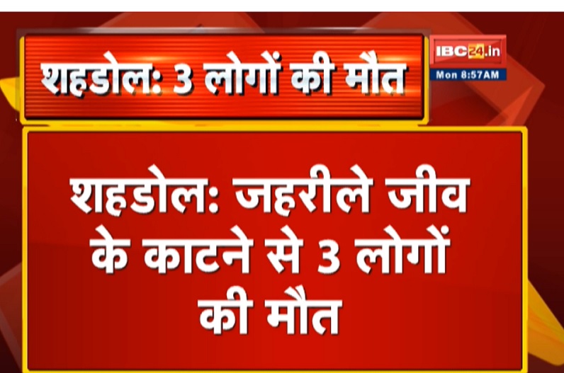 जहरीले जीव के काटने से पिता समेत दो पुत्र की मौत, गांव में पसरा मातम