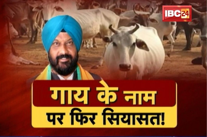 गाय के नाम पर फिर सियासत! क्या जनसेवा के लिए जरूरी है गौ सेवा?