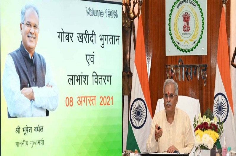 गोधन न्याय योजना के तहत 7.86 करोड़ रूपए की राशि ट्रांसफर, 1 साल में 98 करोड़ से ज्यादा की गोबर खरीदी