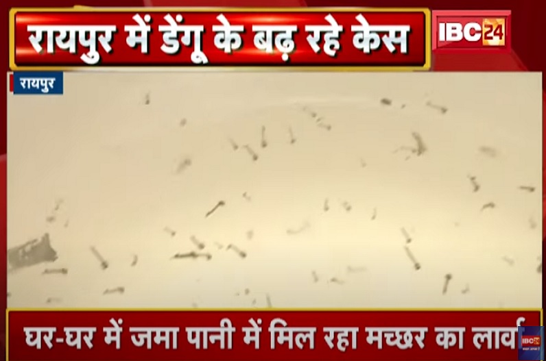 राजधानी में बुखार मरीजों की संख्या बढ़ी, डेंगू से एक महिला की मौत से मचा हड़कंप