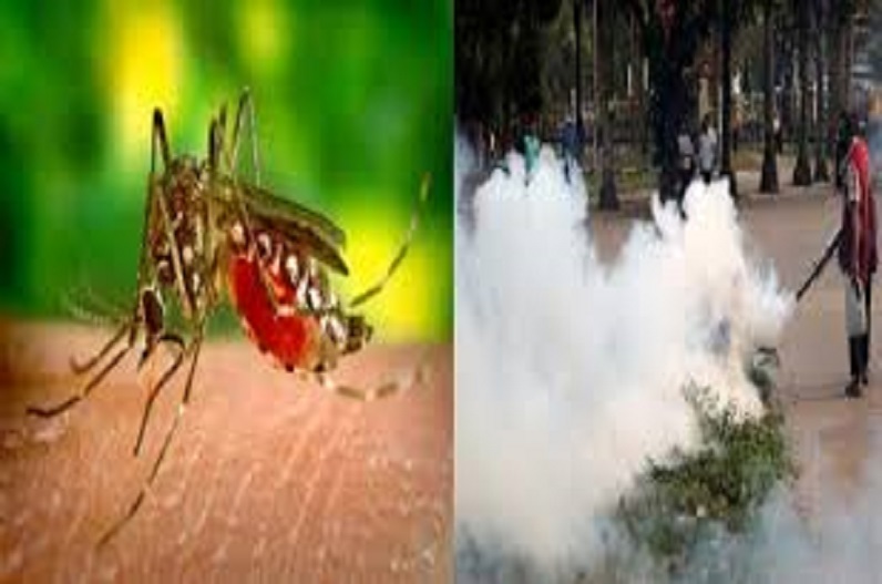 डेंगू संक्रमित मरीज के घर से 150 मीटर के दायरे में होगी जांच, बीते दो दिन में मिले थे 11 मरीज