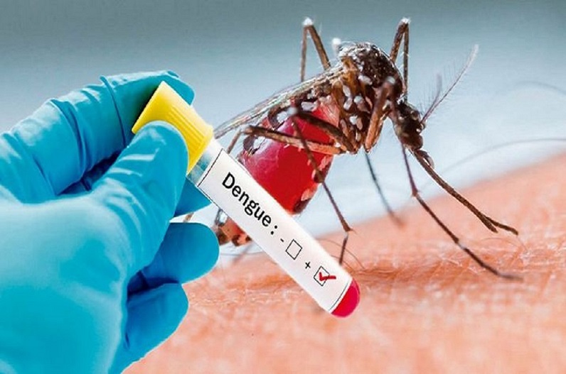 राजधानी समेत इन जिलों में नहीं थम रहा डेंगू, चिकनगुनिया के भी सामने आए मरीज