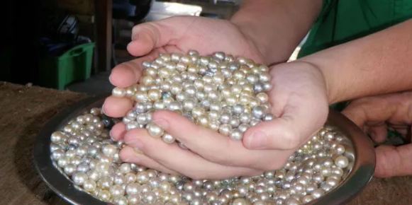 कम लागत में घर बैठे शुरू करें ये शानदार बिजनेस, लाखों में होगी कमाई, सरकार देगी 50% तक की मदद