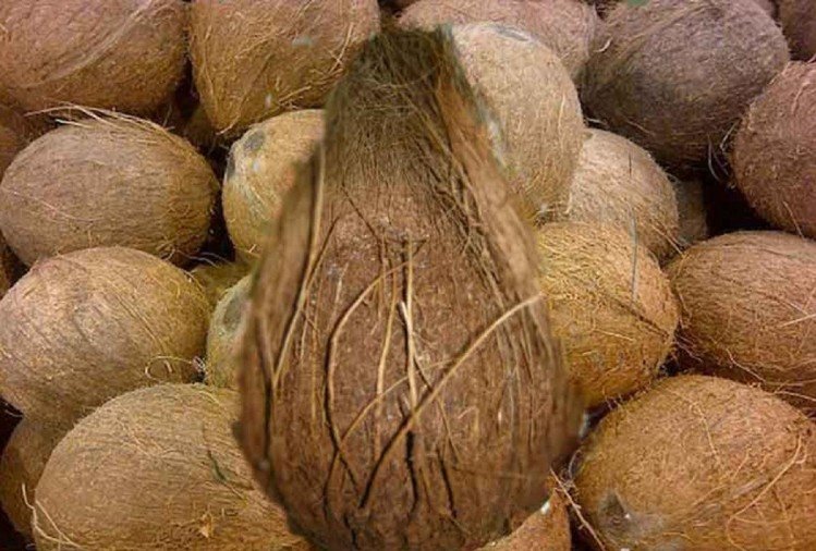 मंदिर में ‘दिव्य’ नारियल की हुई नीलामी, फल विक्रेता ने 6.5 लाख में खरीदा, ये है खासियत