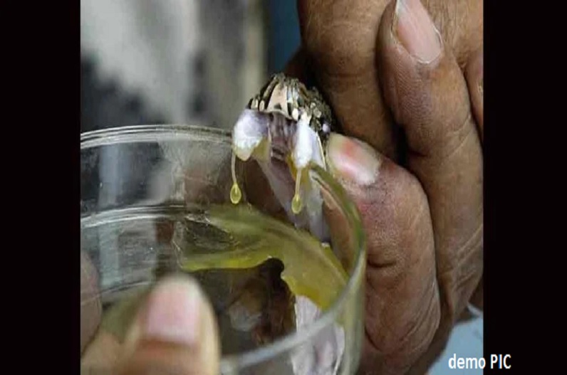 13 करोड़ का सांप का जहर भेजा जा रहा था चीन, बंगाल पुलिस ने एक आरोपी को दबोचा