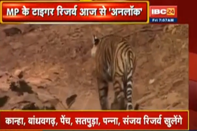 पर्यटकों के लिए खुशखबरी, आज से खुल गए सभी 10 नेशनल पार्क और 24 अभयारण्य, जानें नियम