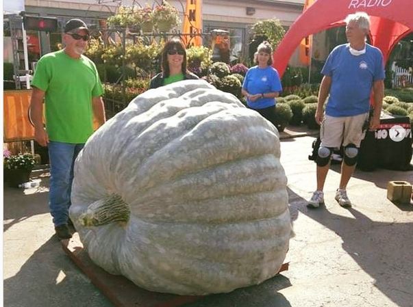 Worlds Biggest Pumpkin