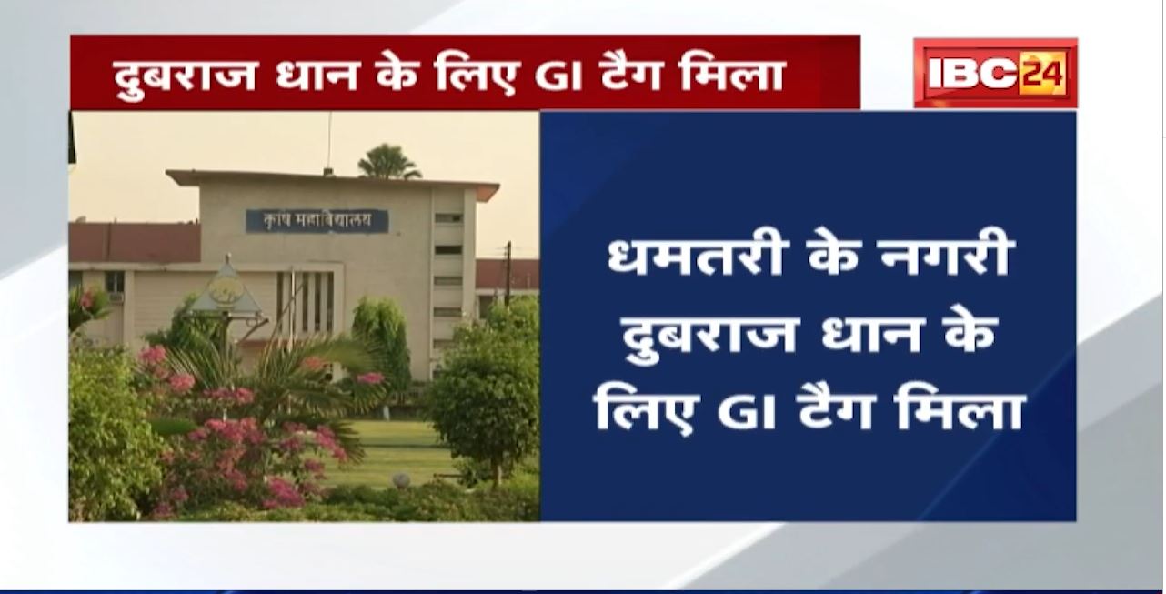 Chhattisgarh को कृषि क्षेत्र में मिली कामयाबी | Dhamtari के नगरी Dubraj Rice के लिए मिला GI Tag