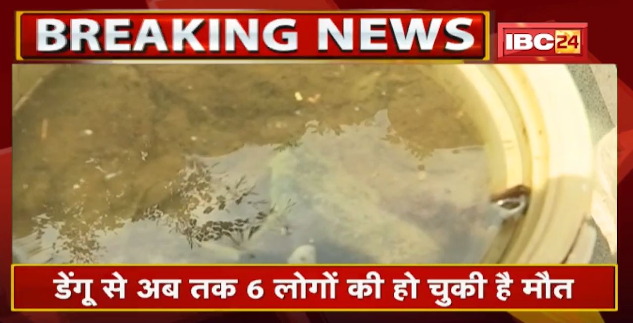Gwalior में 24 घंटे में Dengue के 40 नए मरीज मिले | जिले में मरीजों की संख्या हुई 2412