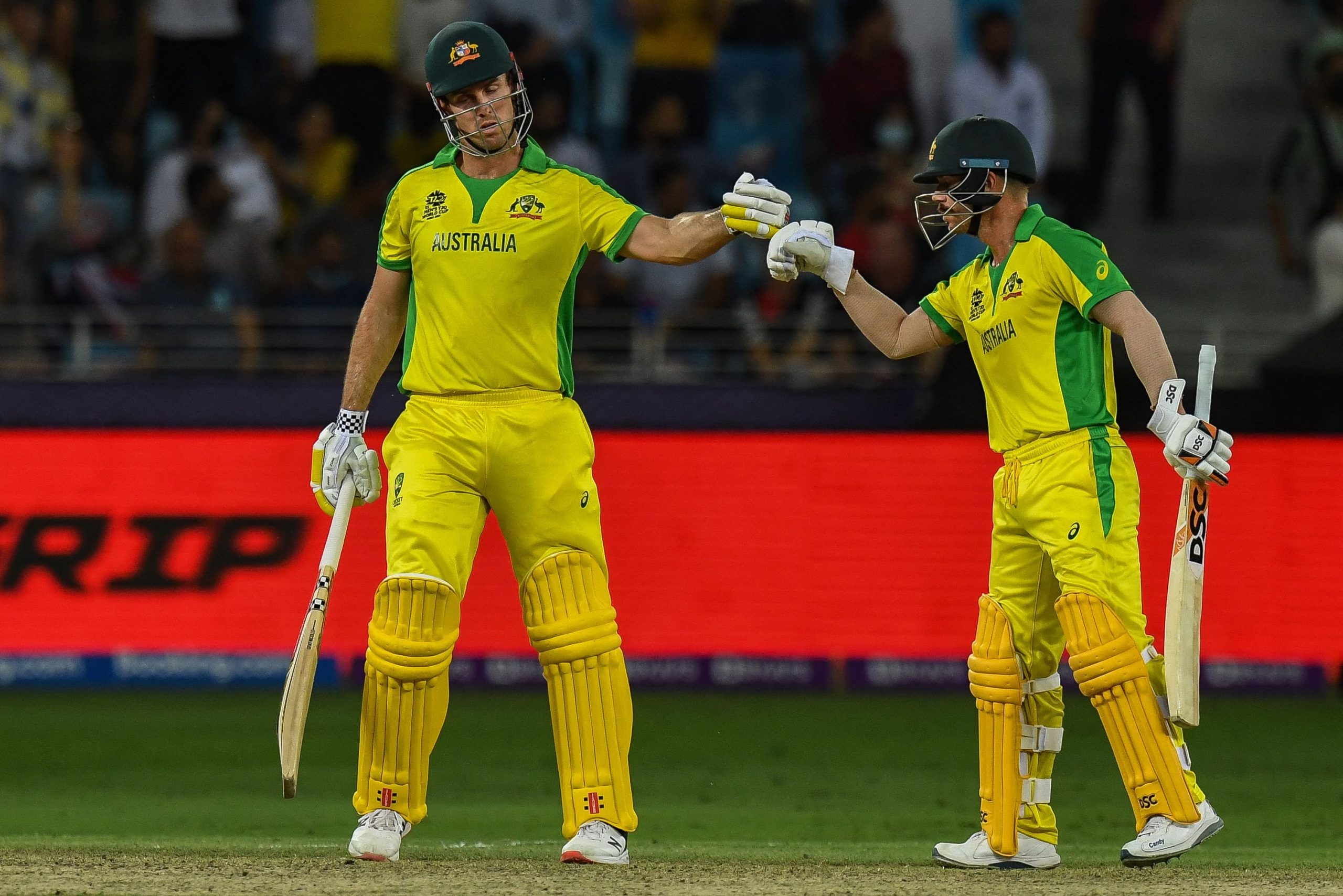 T20 WC FINAL Live Score: ऑस्ट्रेलिया बना टी-20 का नया चैम्पियन,  न्यूजीलैंड को 8 विकेट से हराया