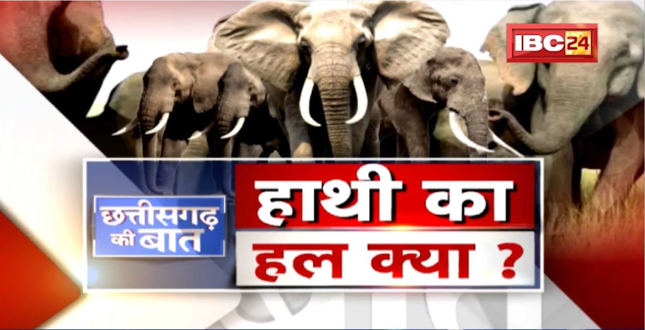 हाथी मचाए हाहाकार! इंसानों-हाथियों में बढ़ता टकराव! हाथी का हल क्या..? CG Politics | CG Ki Baat