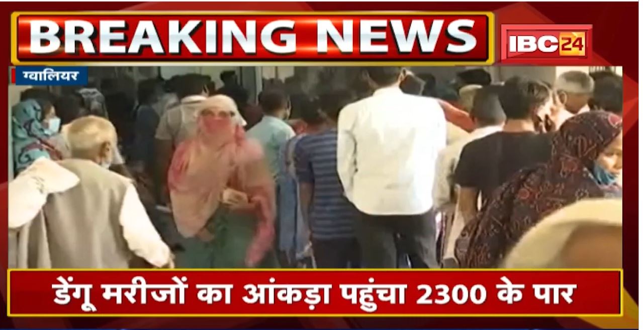 Dengue Case Update : नहीं थम रहा डेंगू का संक्रमण | इन इलाकों में फिर मिले नए मरीज, मचा हड़कंप