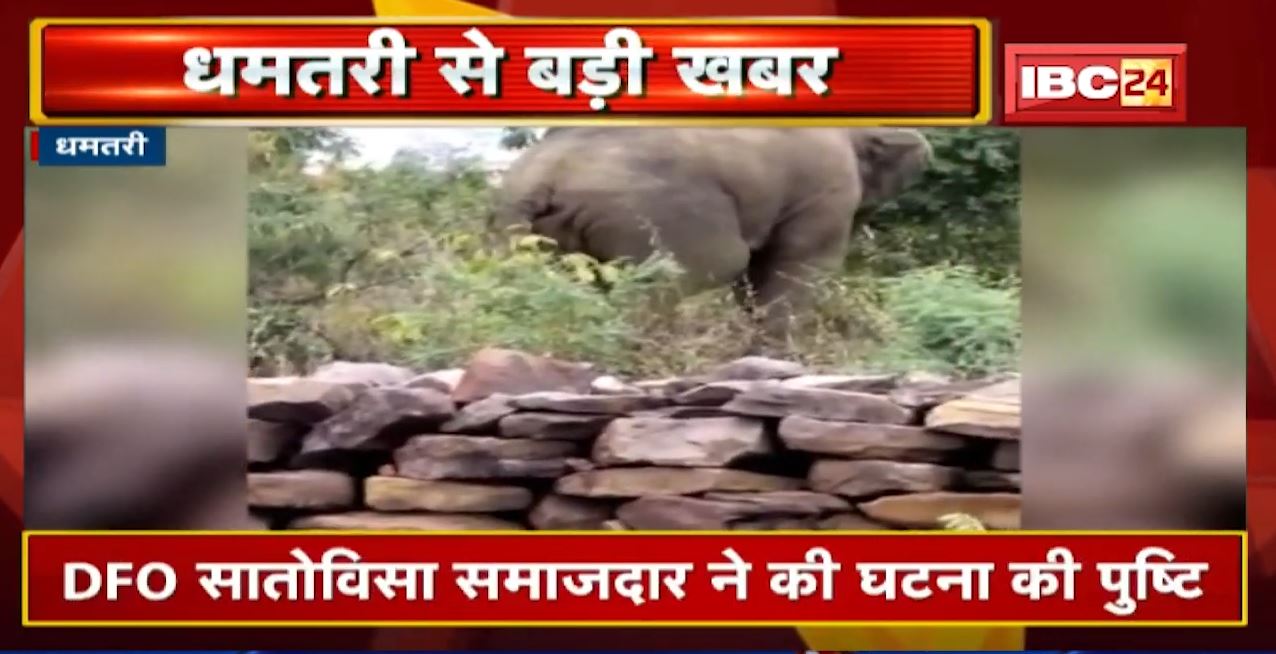Dhamtari Elephant Attack : हाथियों का उत्पात | एक महिला की पटक-पटक कर ले जी जान, दहशत में ग्रामीण