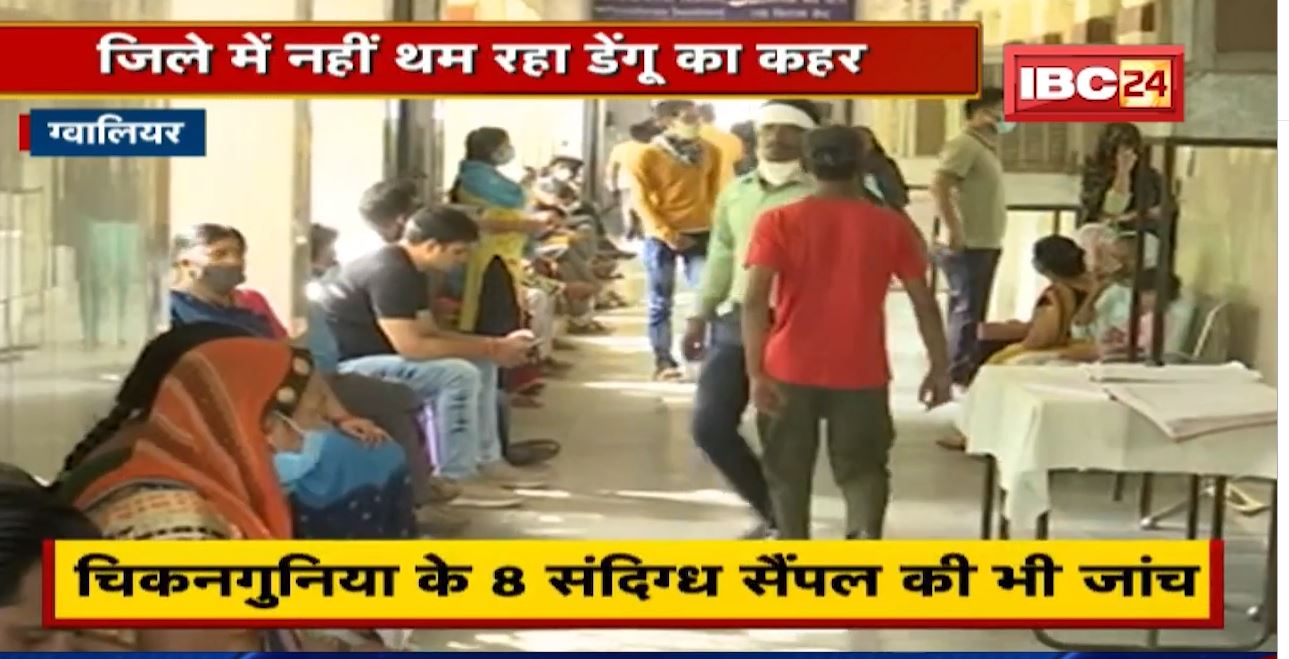 Gwalior Dengue Case Update : डेंगू के 16 नए मरीजों की पुष्टि | अब तक 8 बच्चों समेत 10 मरीजों की मौत