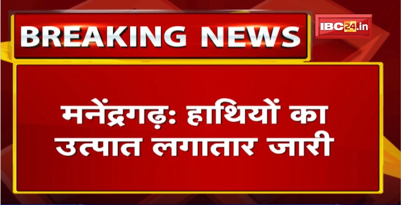 Manendragarh Elephant Attack: खड़गवां रेंज में घूम रहा हाथियों का दल | मकान को तोड़ा, 1 मवेशी की मौत
