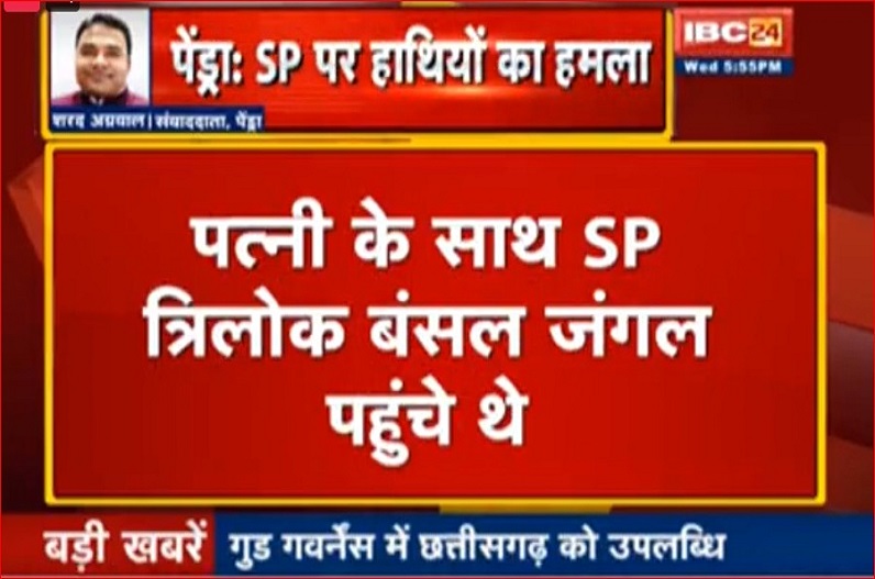 एसपी और उनकी पत्नी पर हाथियों ने किया हमला, दोनों को इलाज के लिए किया गया बिलासपुर रेफर