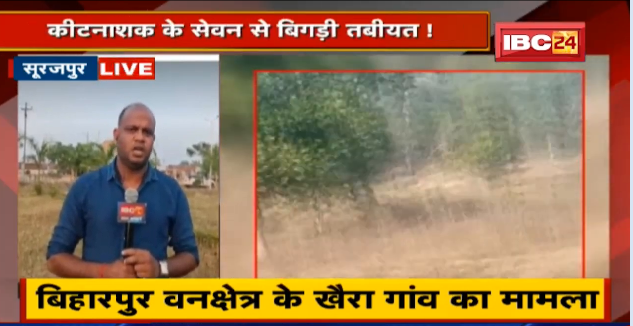 Surajpur : हाथियों के बेहोश होने का मामला | कीटनाशक के सेवन से बिगड़ी तबीयत !