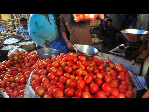 tamato price in delhi