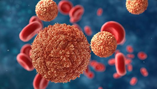 देश के इस शहर में जीका वायरस का विस्फोट… दो स्वास्थ्यकर्मी समेत 25 एक्टिव मरीज मिलने से प्रशासन में हड़कंप