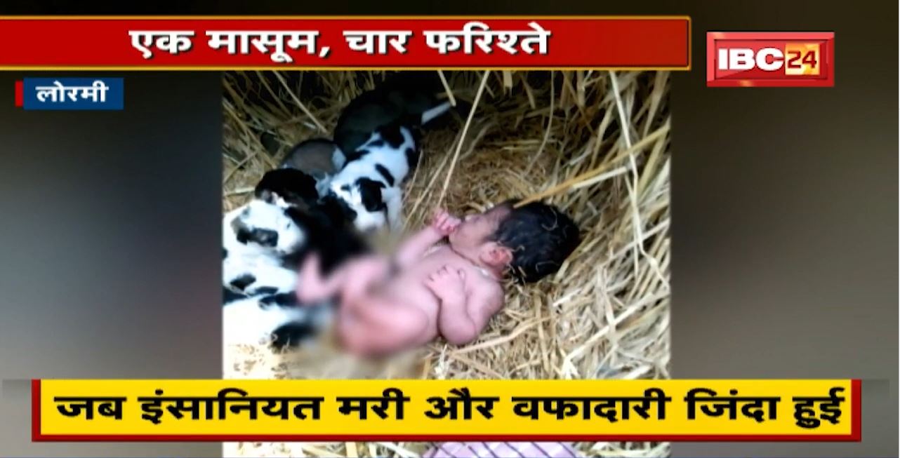 जब इंसानियत मरी और वफादारी जिंदा हुई | मासूम की जिंदगी बचाने फरिश्ते बनकर आए वो | देखिए पूरी Report