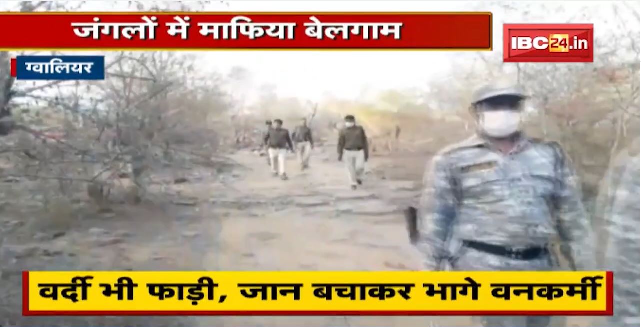 Gwalior के जंगलों में माफिया बेलगाम। वन अमले को घेरकर लाठी-डंडे से पीटा