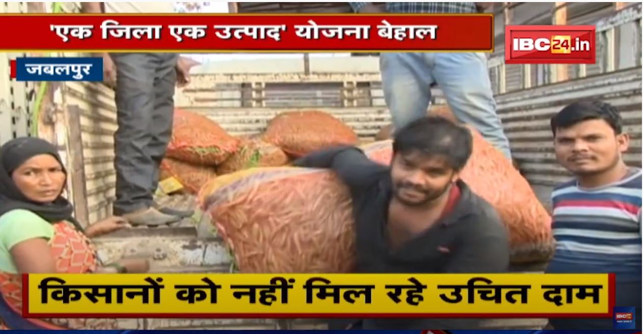 नहीं हो रही जबलपुरी हरे मटर की Branding | किसानों को नहीं मिल रहे उचित दाम | देखिए Report