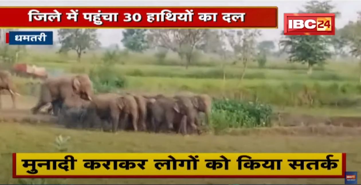 Dhamtari जिले में पहुंचा 30 हाथियों का दल | मुनादी कराकर लोगों को किया सतर्क