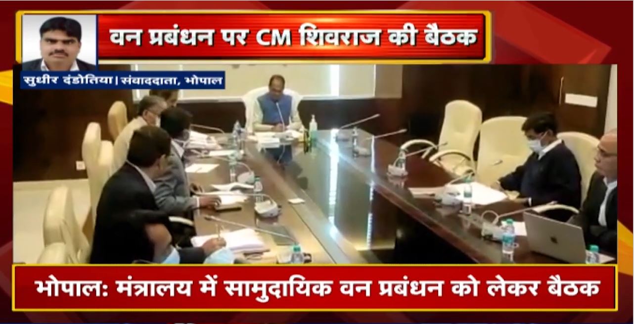 वन प्रबंधन पर CM Shivraj Singh की बैठक | वन समितियों में महिलाओं को सदस्य बनाने की चर्चा