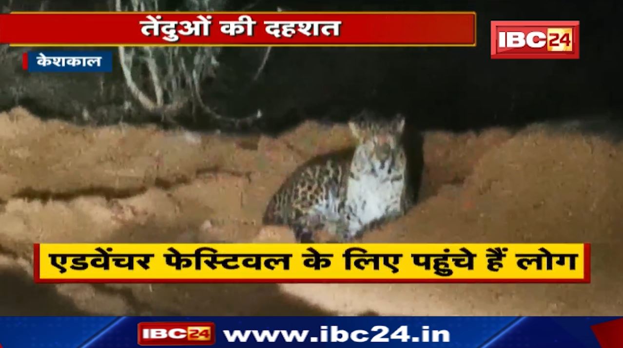 Chhattisgarh : नाइट कैंपिंग के दौरान पर्यटकों के सामने आ गए तेंदुए | फिर जो हुआ..देखिए Video