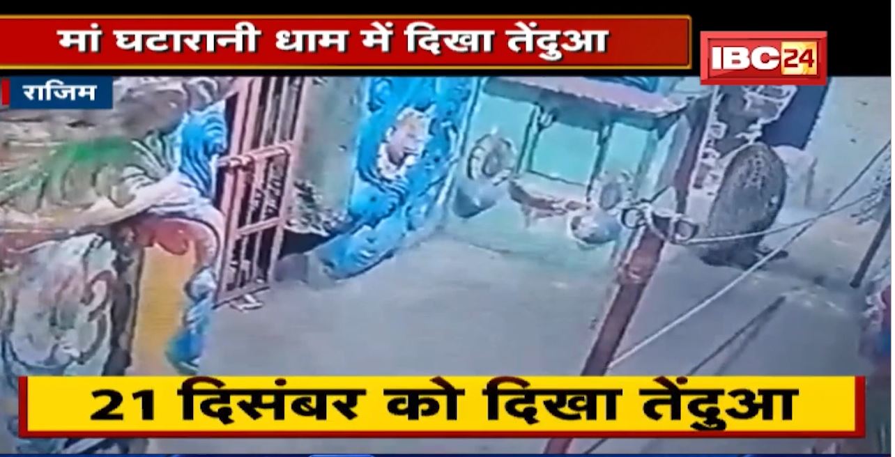 Jatmai Ghatarani Mandir में दिखा तेंदुआ _ देखिए Live Video