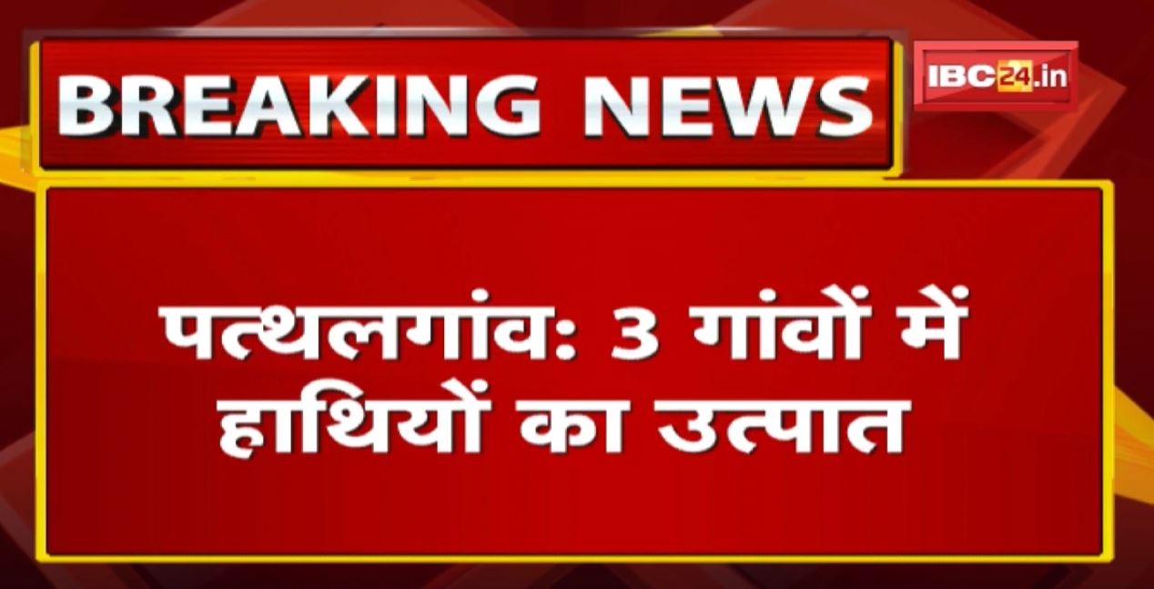 Pathalgaon Elephant Attack : हाथियों का उत्पात | तपकरा और फरसाबहार में घूम रहा 35 हाथियों का दल