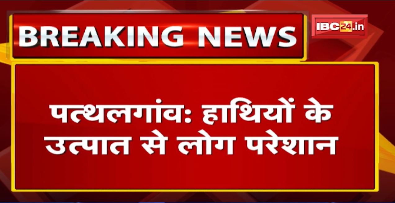 Pathalgaon Elephant Attack : हाथियों का उत्पात | झिलीबेरना गांव में दो घरों को पहुंचाया नुकसान