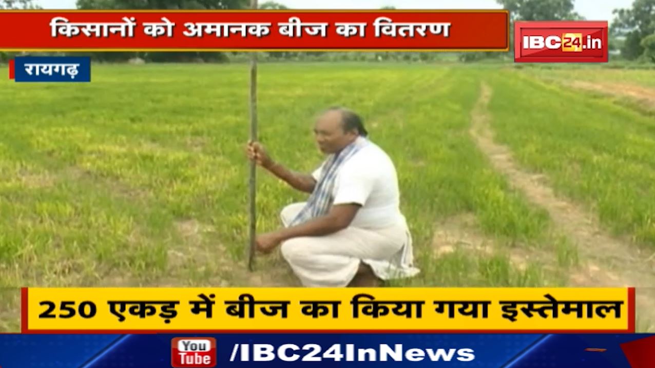 Raigarh News : किसानों को अमानक बीज का वितरण | नहीं आई फसल, दोषी कंपनी पर एक्शन की मांग