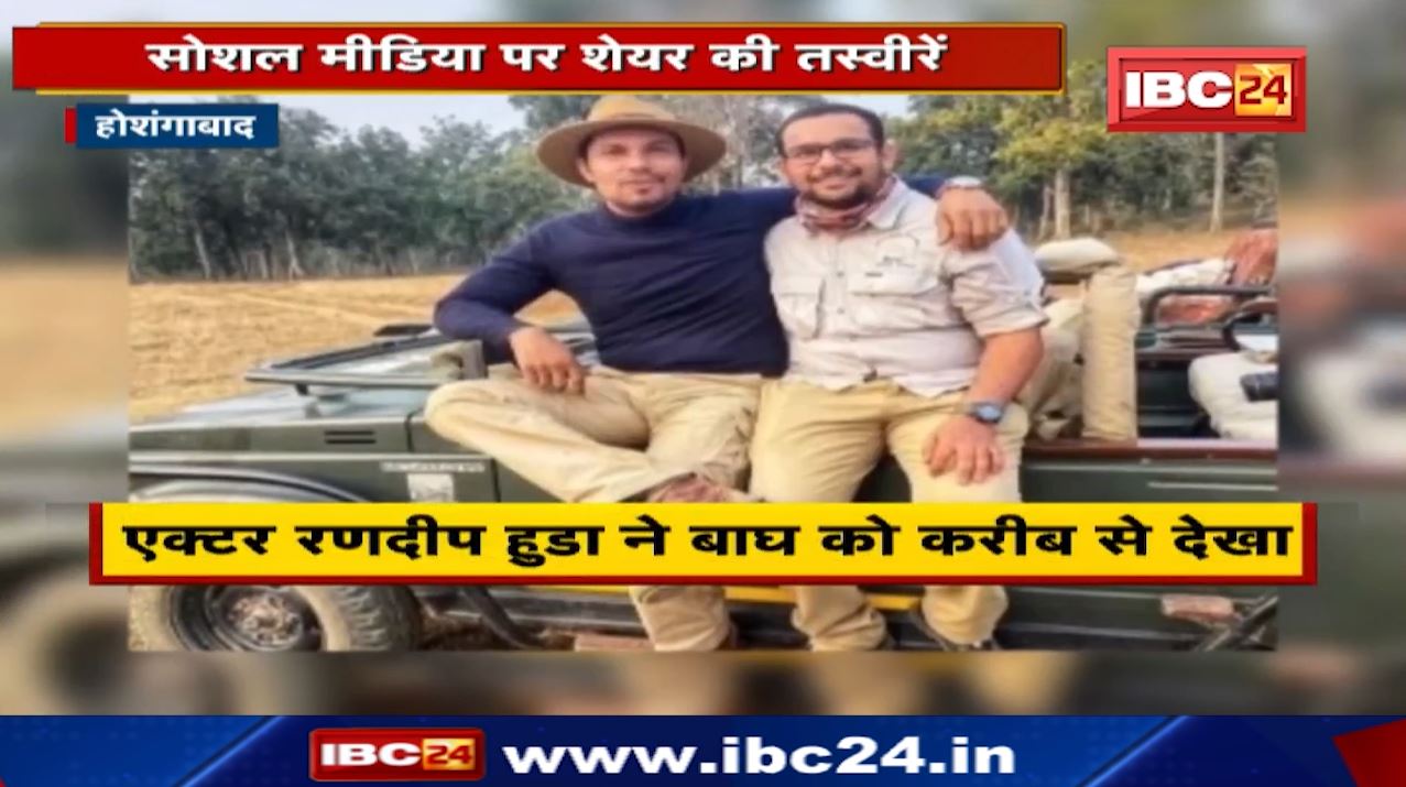 Satpura Tiger Reserve  Murder-3 के Actor Randeep Hooda को दिखा टाइगर  Video किया Share