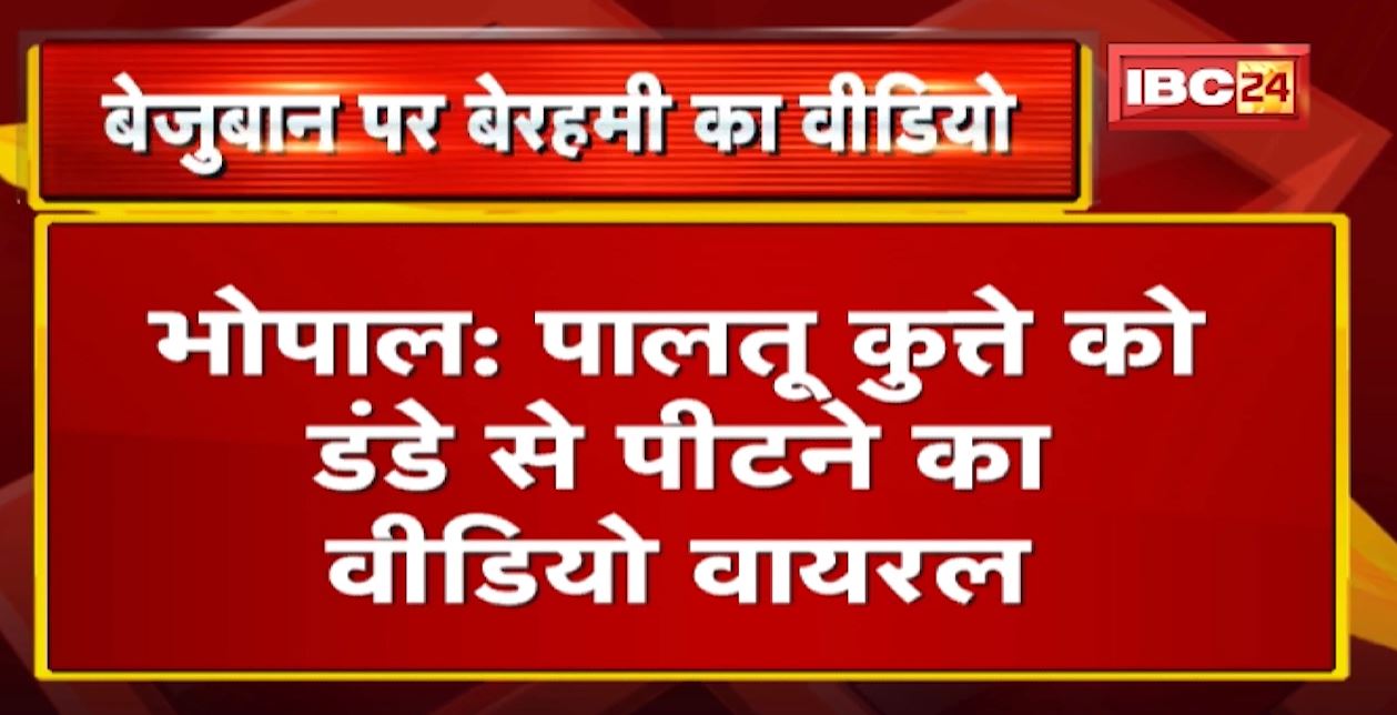 Viral Video of Dog Beating : कुत्ते की बेरहमी से पिटाई | युवक ने डंडे से पीटा, जानवर कौन?