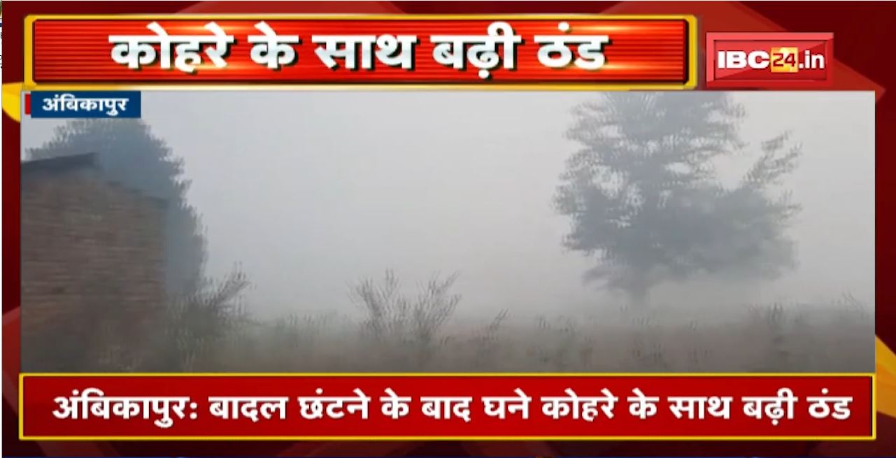 Ambikapur : बादल छंटने के बाद घने कोहरे के साथ बढ़ी ठंड। कोहरे की वजह से सड़क पर Visibility हुई कम