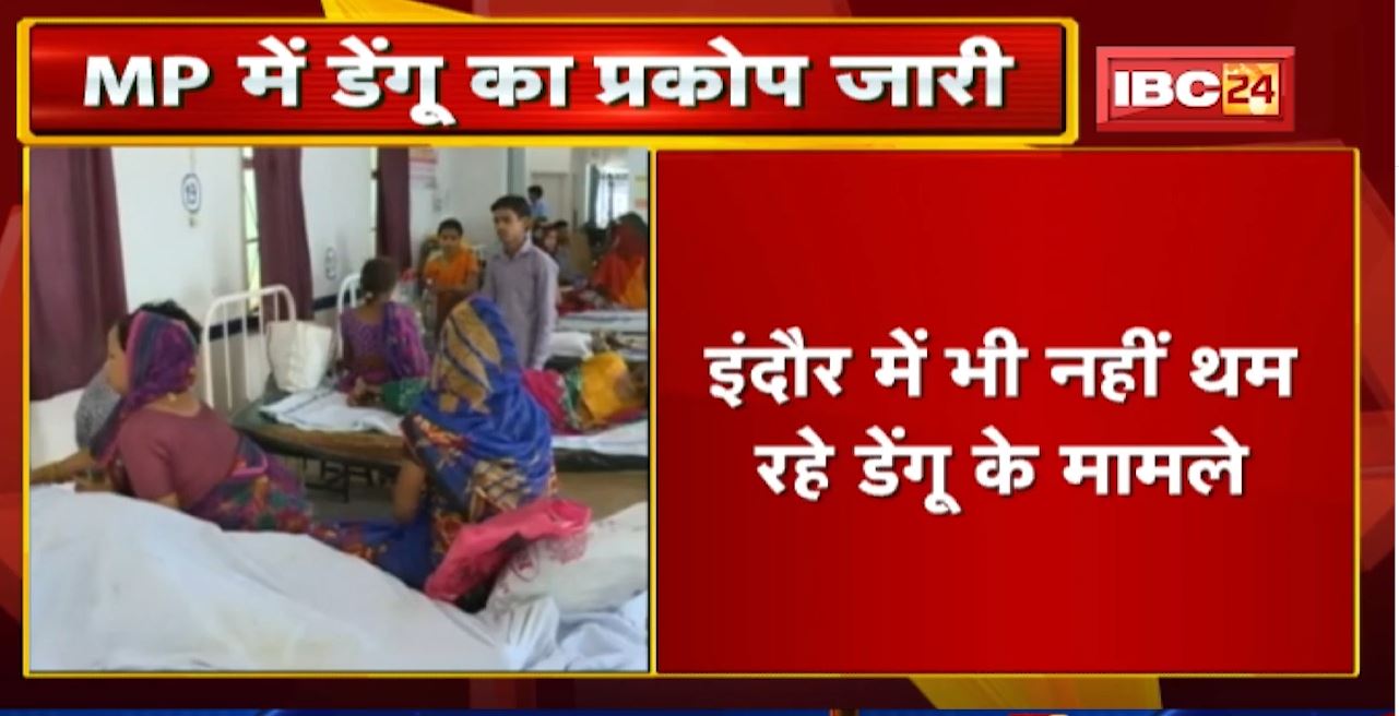 Madhya Pradesh Dengue Case Update : जानिए किस जिले में कितने मिले डेंगू के नए मरीज….