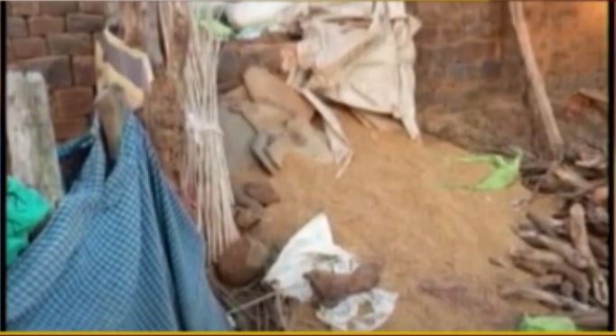 Mahasamund Elephant Attack News : धान खरीदी केंद्र पहुंचे हाथी | किसानों ने मशाल जलाकर भगाया