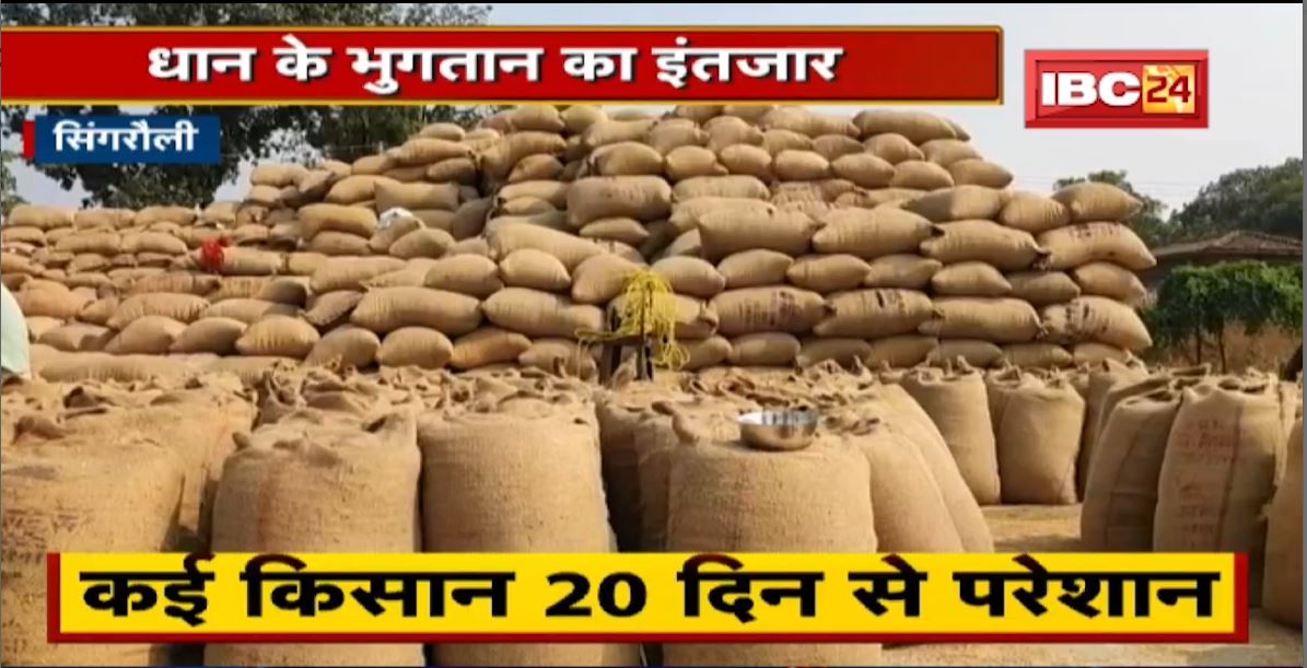 Singrauli में धान के भुगतान का इंतजार | किसान 20 दिन से हो रहे परेशान ,अधिकारियों के पास नहीं जवाब