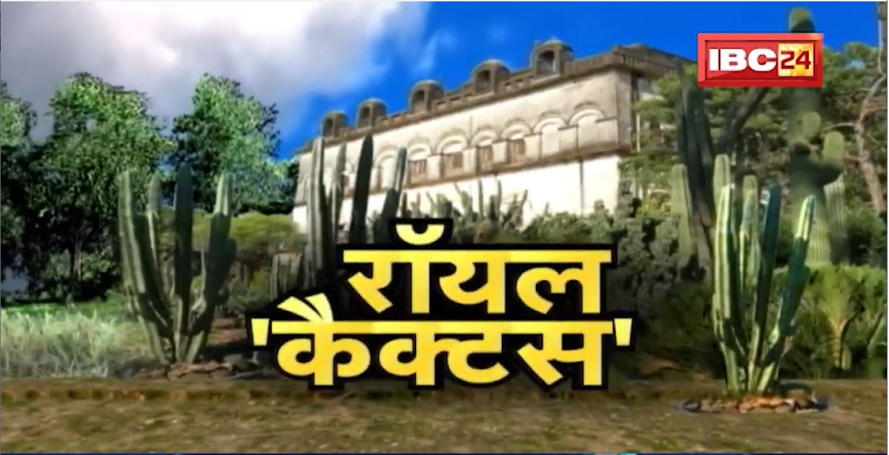 Royal ‘Cactus’: सैलाना नगर में स्थित है Cactus Garden। कैक्टस का मनमोहक संसार | Dharohar