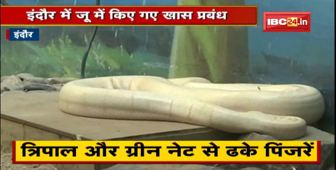 Indore : वन्यप्राणियों को ठंड से बचाने की कवायद | पिंजरों में की हीटर और कंबल की व्यवस्था