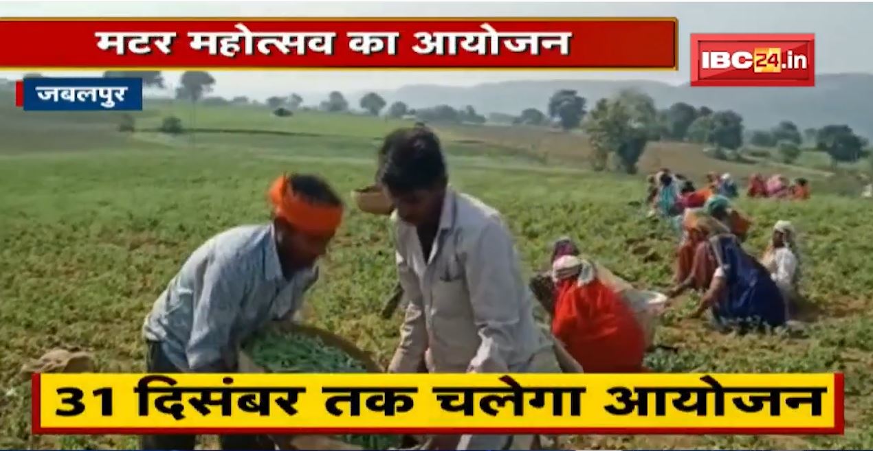 Jabalpur Matar Mahotsav : मटर के लजीज व्यंजन खाना हो तो आइये जबलपुर | होने जा रहा फूड महोत्सव