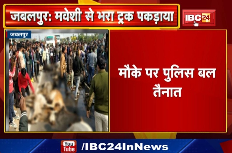 200 मवेशियों से भरा ट्रक जब्त, 20 से ज्यादा की मौत देख भड़के लोगों ने किया हंगामा