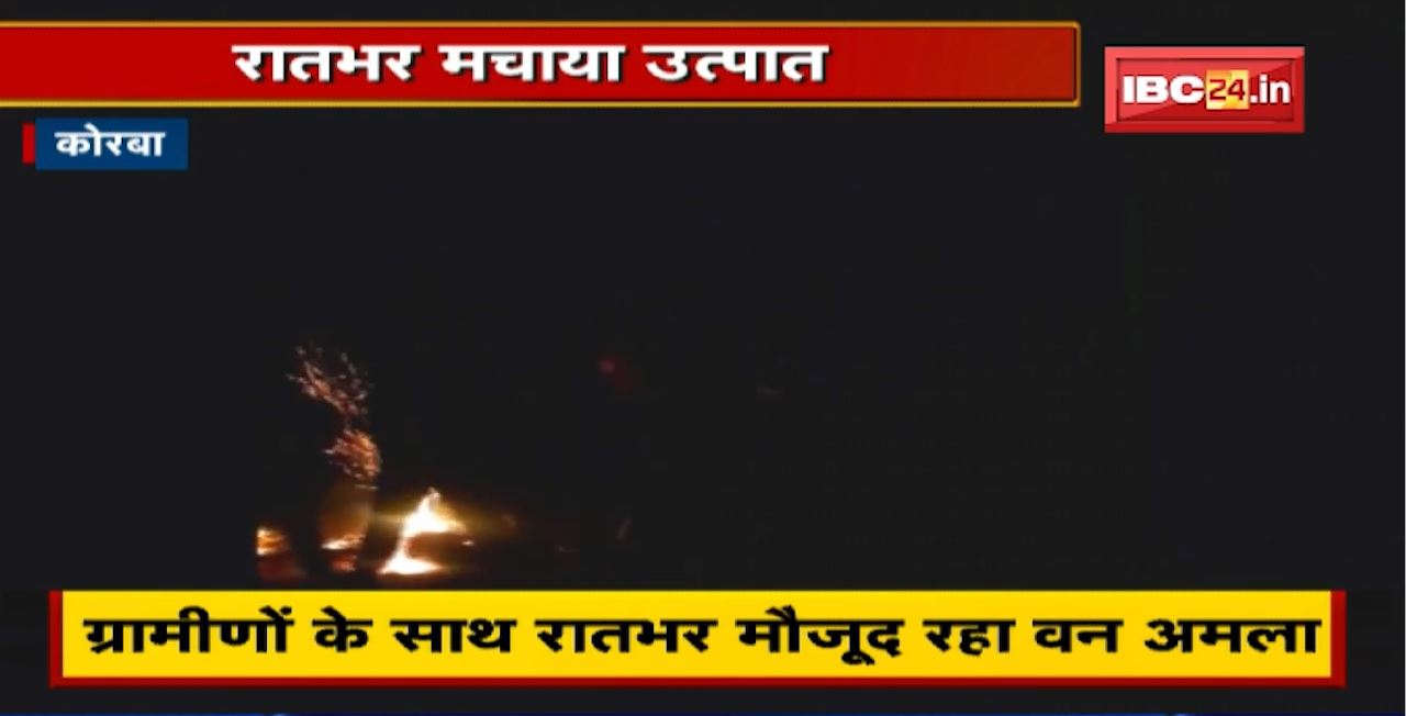 Korba के पसान में 43 हाथियों ने रातभर मचाया उत्पात। ग्रामीणों के साथ रातभर मौजूद रहा वन अमला