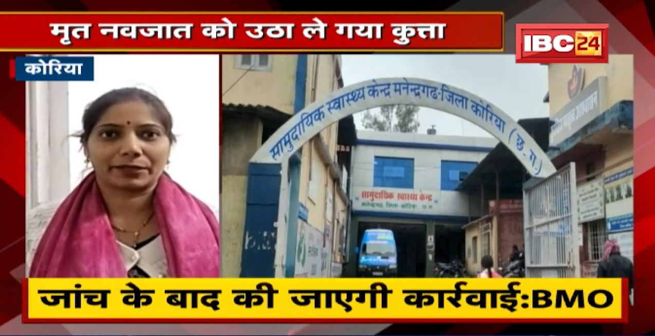 Koriya News: स्वास्थ्य केंद्र में बड़ी लापरवाही। Hospital के अंदर से मृत नवजात को उठा ले गया कुत्ता