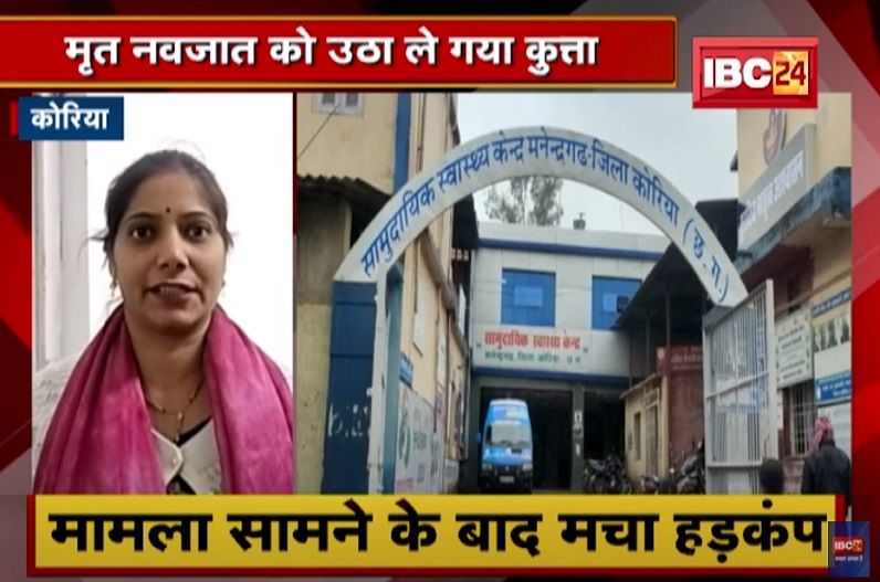  सरकारी अस्पताल की बड़ी लापरवाही, मृत नवजात को उठा ले गया कुत्ता, मामला सामने आने के बाद मचा हड़कंप
