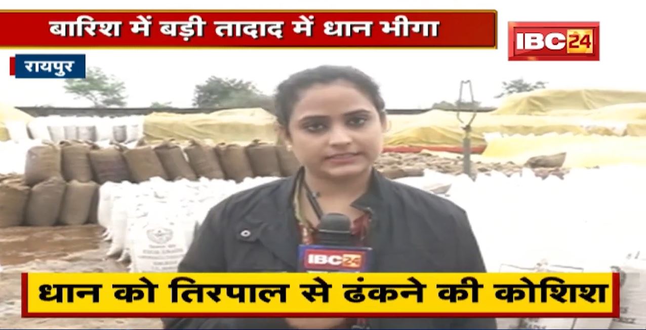 Chhattisgarh में बारिश के कारण धान खरीदी प्रभावित। Mandir Hasaud में करीब 3000 बोरा धान भीगा