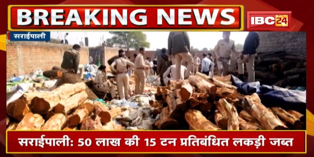 15 tonnes of banned wood worth Rs 50 lakh seized in Saraipali| Forest department action in Bhanwarpur area