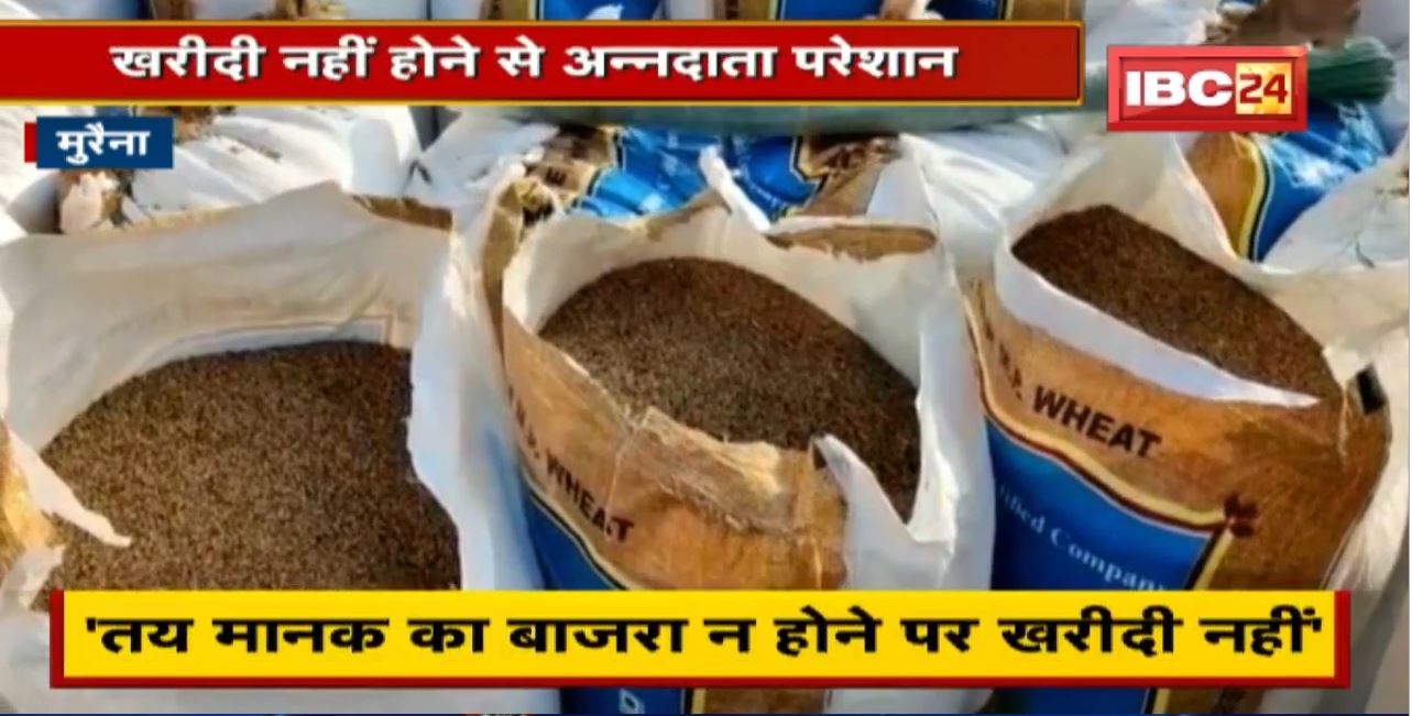 Morena News : ‘तय मानक का बाजरा न होने पर खरीदी नहीं’ | खरीदी नहीं होने से अन्नदाता परेशान