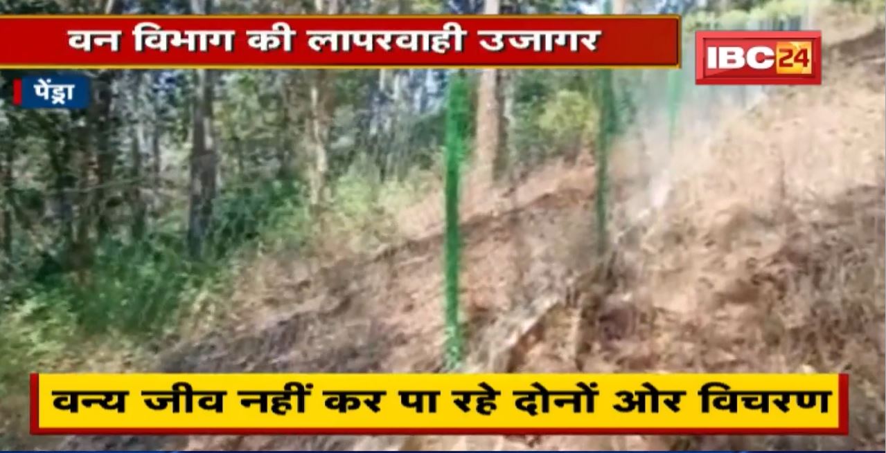 Chhattisgarh – Madhya Pradesh Tiger Reserve के बीच दीवार | Forest Department की लापरवाही उजागर